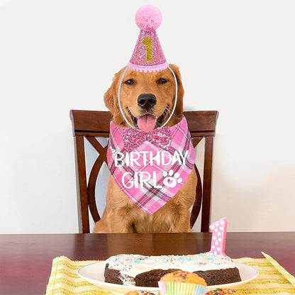 STMK Dog Birthday Outfits - Image 7