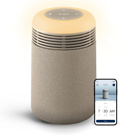 BLUEAIR Purifier for Bedroom by BlueairInc