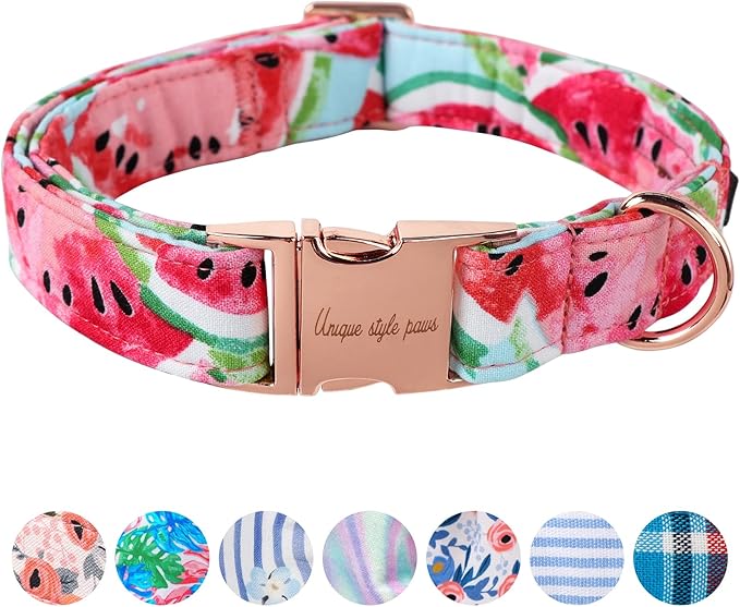 Unique Style Paws Watermelon Collar by Uniquestylepaws