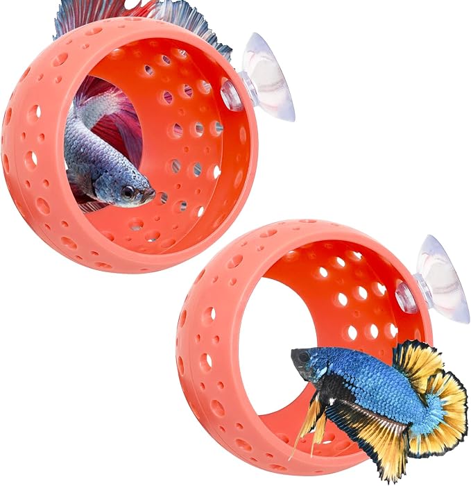 Fhiny Betta Tunnel by Fhiny