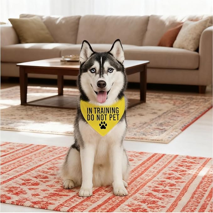 in Training Do Not Pet Dog Yellow Bandana, Training Dogs Scarf, Do Not Pet My - Image 3