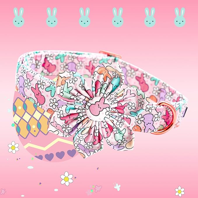Lionheart glory Easter Day Dog Collar - Image 3
