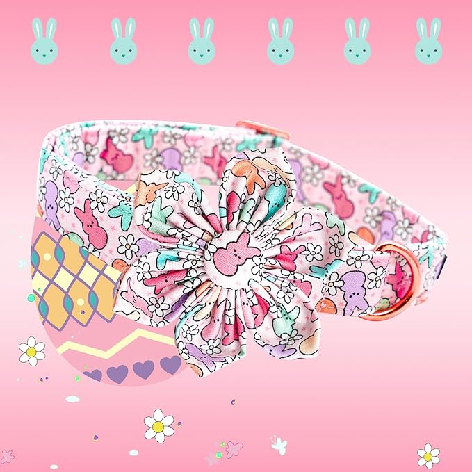 Lionheart glory Easter Day Dog Collar - Image 3