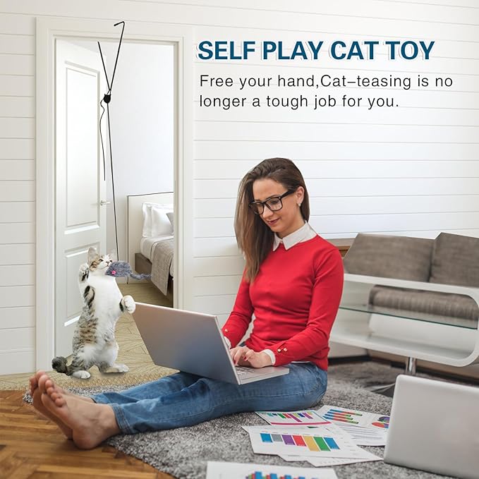 Kalimdor Interactive Cat Feather Toys, Retractable Teaser Toy ，Hanging - Image 2