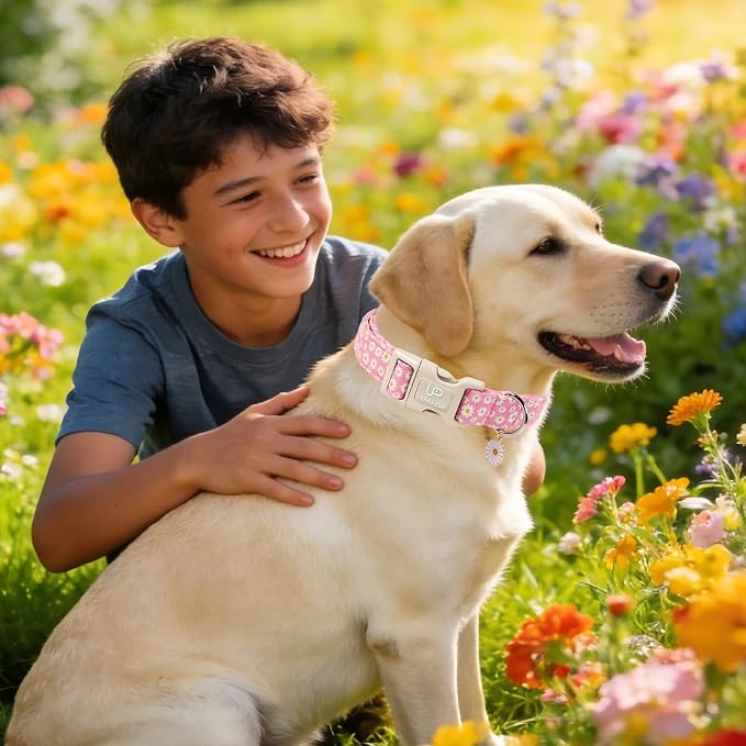 Daisy Dog Collar, Summer Cotton Dog Collar - Image 6