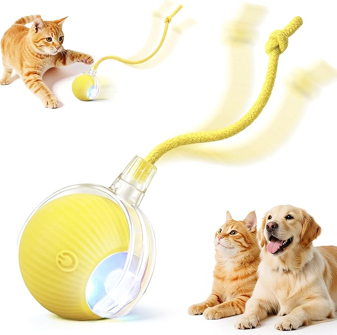 Interactive Electric Automatic Rolling Moving USB Rechargeable Self Activated by Unknown