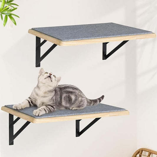 Burlywood Cat Furniture Indoor Set of 2: Wood Shelves by GADKE