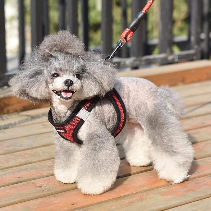 Dog Harness Step-in Breathable Puppy Cat Dog Vest Harnesses - Image 6