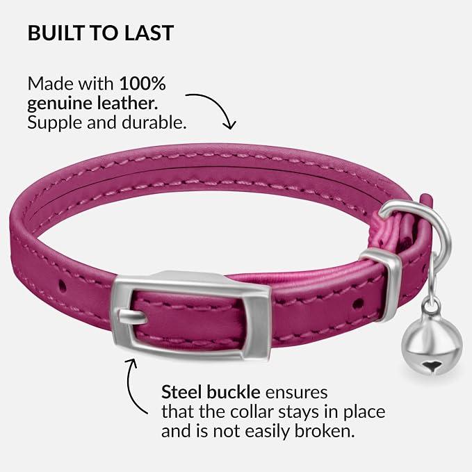 CollarDirect Leather Cat Collar - Image 2