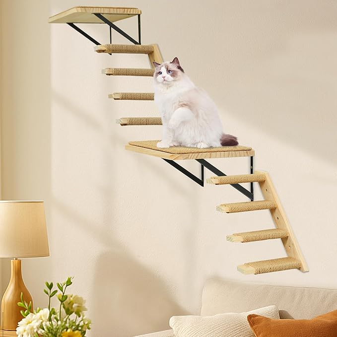Wall Mounted 2 Pack Cat Shelf by PELUOMOZ