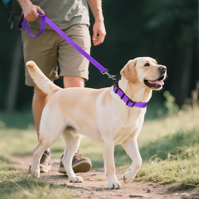 Joytale Reflective Dog Collar, Soft Neoprene Padded, Metal D-Ring, Nylon Pet - Image 6