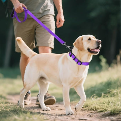 Joytale Reflective Dog Collar, Soft Neoprene Padded, Metal D-Ring, Nylon Pet - Image 6