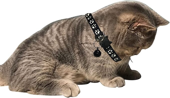 Breakaway Reflective Nylon Cat Collars - Image 8
