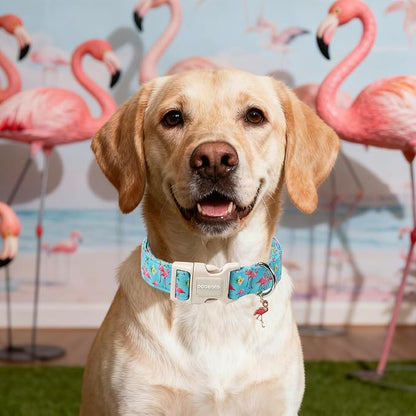 DOGWONG Spring Summer Dog Collar-Cute Flamingo Dog Collar, Adjustable Soft - Image 5