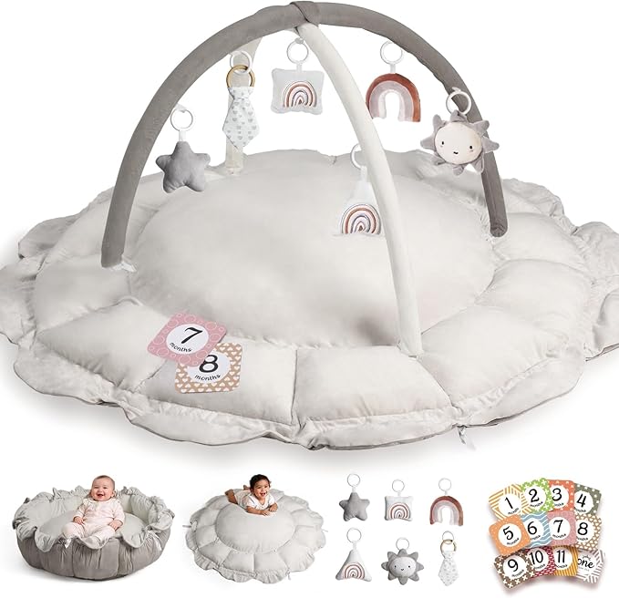 Little Dove 5-in-1 Convertible Baby Play Gym by HAN-MM