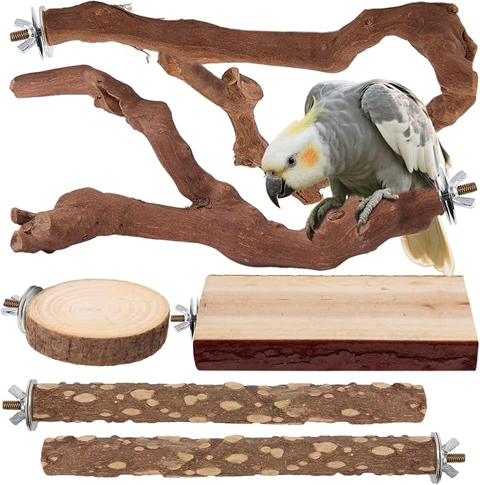 Parrot Perch Bird Perch Stand Set Natural Wild Wood Grape Sticks Paw Grinding by lovyoCoCo