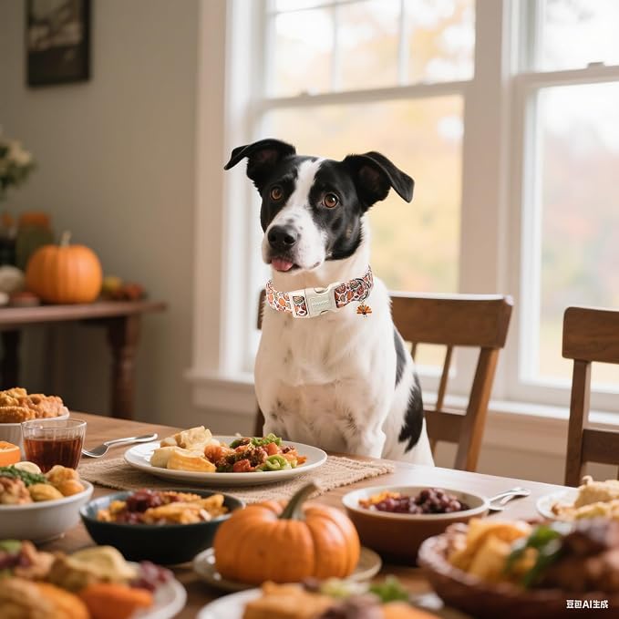 DOGWONG Fall Plaid Dog Collar, Turkey Thanksgiving Dog Collars, Adjustable Cute - Image 5