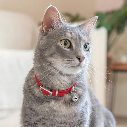 CollarDirect Leather Cat Collar - Image 6