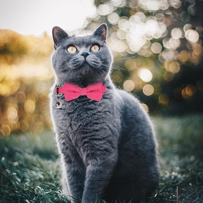 Sliverdew 2 Pcs Kitten Bow Tie Collar - Image 6