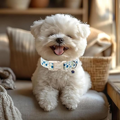Spring/Summer Dog Collar for Small Dogs - Image 5