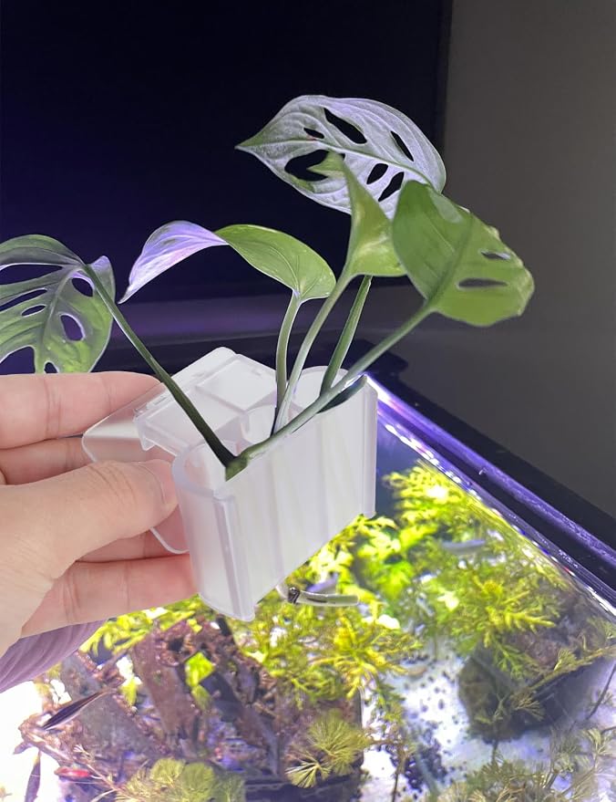 4 Pk Upgraded Aquarium Plant Holder, 3-Hole Hanging Aquarium Plant Holder - Image 6