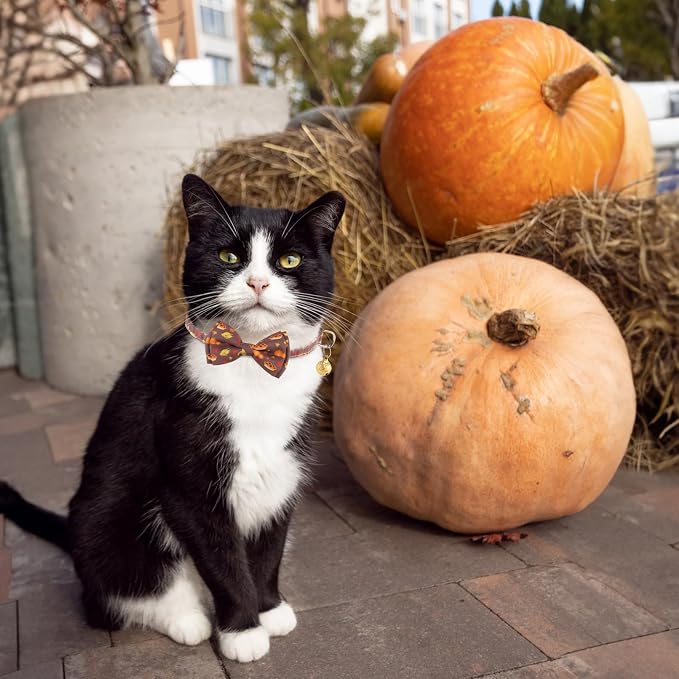 KOOLTAIL Cat Collar with Bow Tie and Bell - Image 6