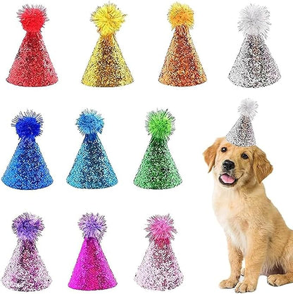10 Pcs Dog Birthday Hat Set for Small Medium Dogs Cat Puppies, Mini Party Hat by Cellcacn