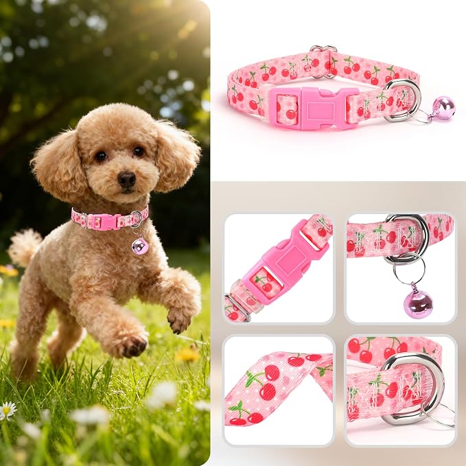 XS Dog Collar with Bell - Image 3