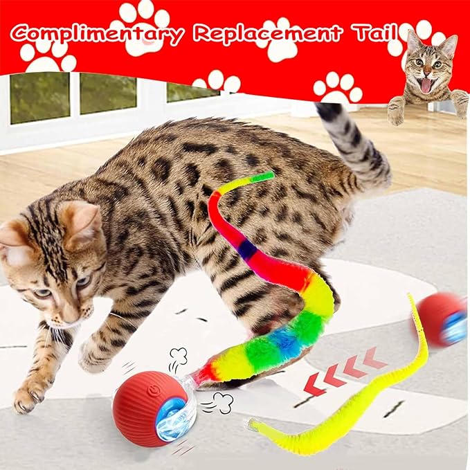 2 PCS Interactive Cat Toy Rolling Ball Chewie Viral Dog Ball - Image 7