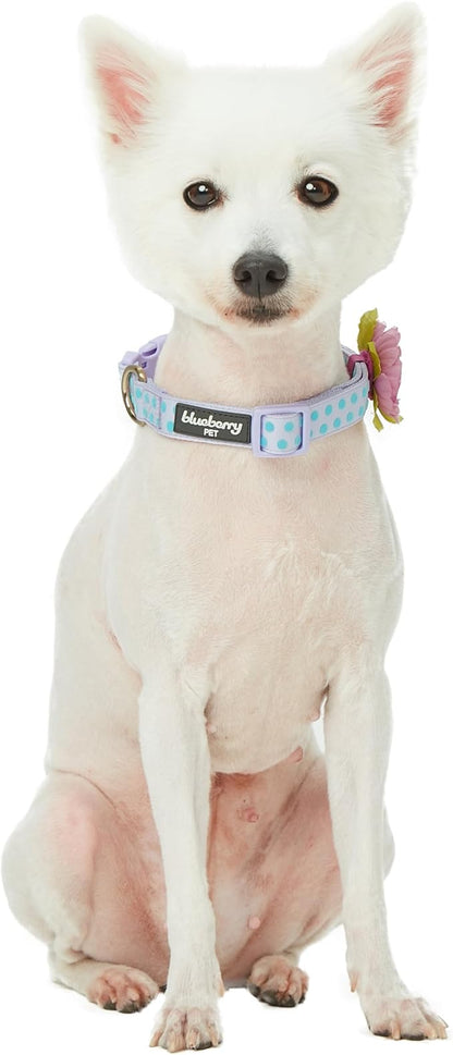 Blueberry Pet Dog Collar - Image 7