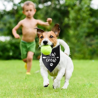 New to The Crew Dog Bandana New Puppy Announcement Gift - Image 5