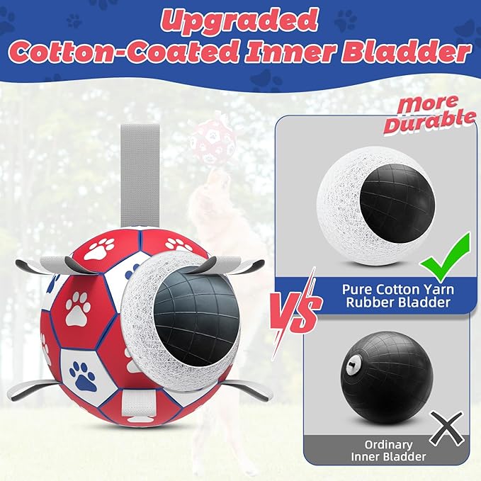 Diman Premium Dog Toys Ball, Interactive Dog Toys - Image 3