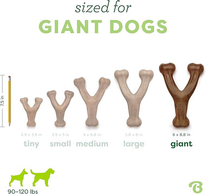 Benebone Wishbone Durable Dog Chew Toy - Image 4