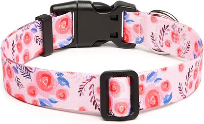 Mercano Adjustable Dog Collar - Image 2