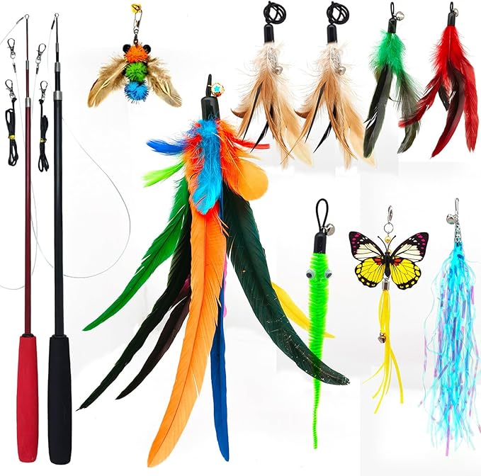 Cat Toys Interactive for Indoor Cats, Fishing Pole Toy, Retractable Cat Wand by miwooim