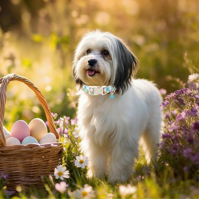 Easter Dog Collar for Puppy Small Dogs - Image 7