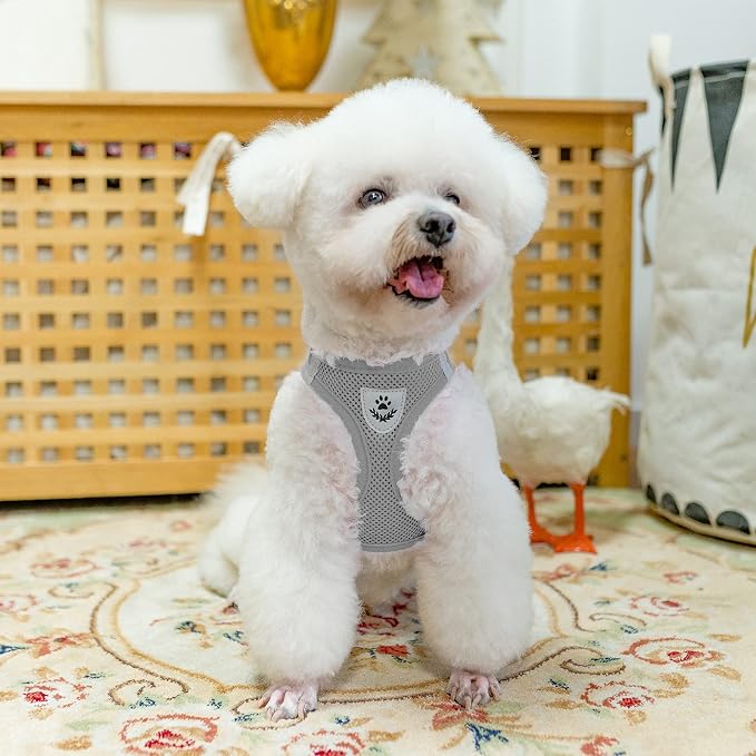 PUPTECK Adjustable Dog Harness Collar and Leash Set Step in No Pull Pet Harness - Image 7