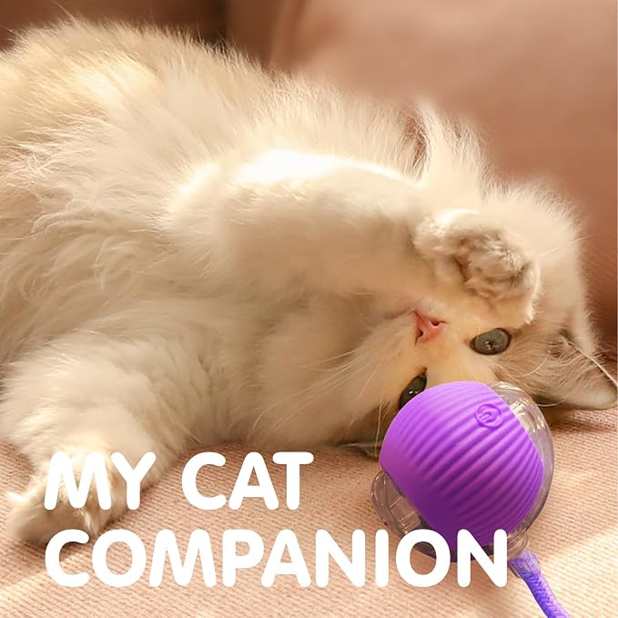 Rocfish Durable Interactive Cat Toys - Image 8