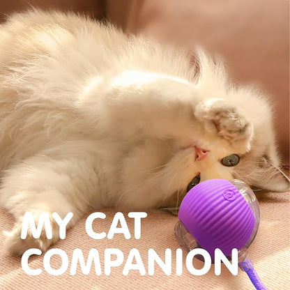 Rocfish Durable Interactive Cat Toys - Image 8