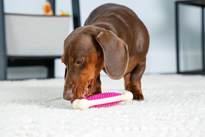 Hartz Chew 'n Clean Tuff Bone Bacon Scented Dental Dog Chew Toy - Image 6
