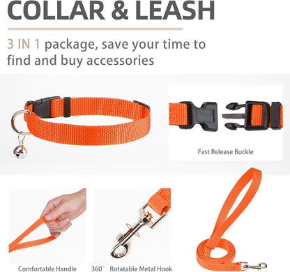 PUPTECK Adjustable Dog Harness Collar and Leash Set Step in No Pull Pet Harness - Image 4