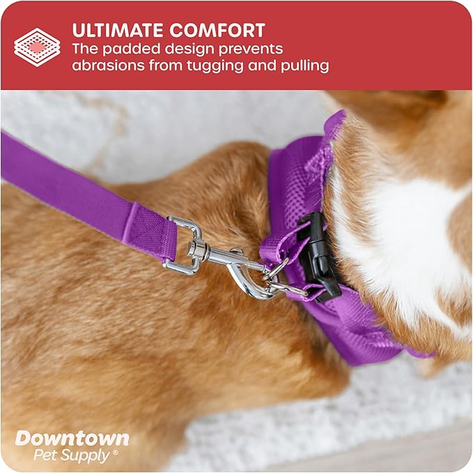 Downtown Pet Supply Step-in Dog Harness – No Pull, Adjustable Padded Mesh - Image 6