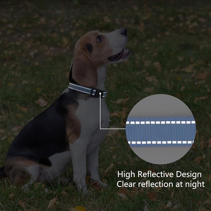 Reflective Dog Collar Padded - Image 5