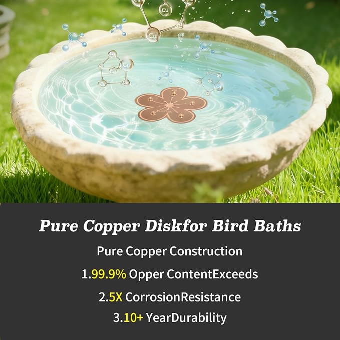 Bird Bath Copper Disk, 99.9% Pure Copper Disk, 5-Point Support, Solar Fountain - Image 4