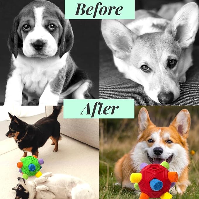 Snuffle Ball for Dog Toys Unbreakable Upgrade Ball Interactive Toy Foraging - Image 5