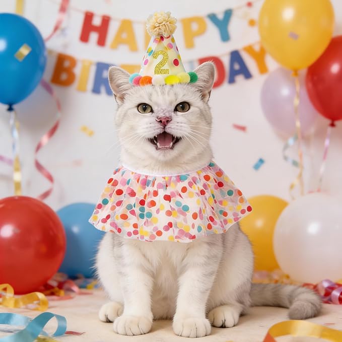 SCENEREAL Cat Birthday Hat & Scarf Costume Set, Pet Birthday Party Supplies - Image 5