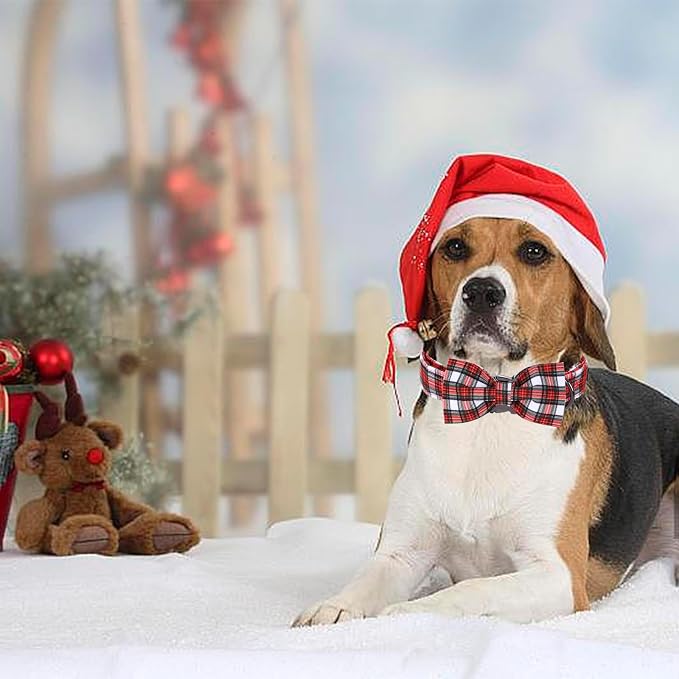 Christmas Dog Collar, Christmas Puppy Necklace - Image 6