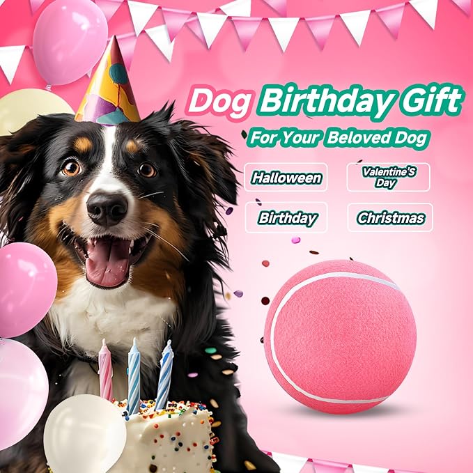 HETOO Large Dog Tennis Balls: 9.5 inch Pink Dog Toys- Giant Big Outdoor Dog - Image 3