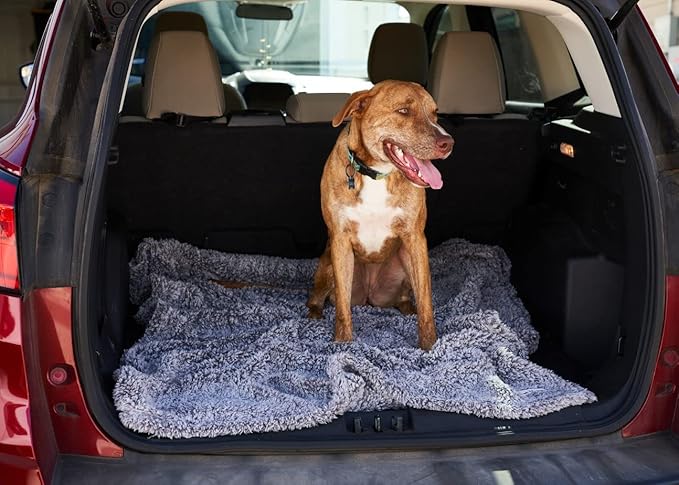 Pet Parents Pet Blanket - Image 6