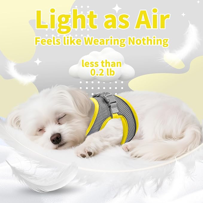 AIITLE Dog Harness, No-Pull Cat Harness - Image 11